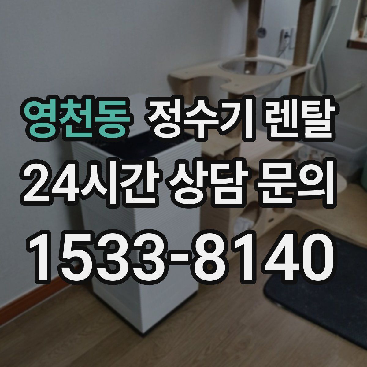 영천동 정수기 렌탈