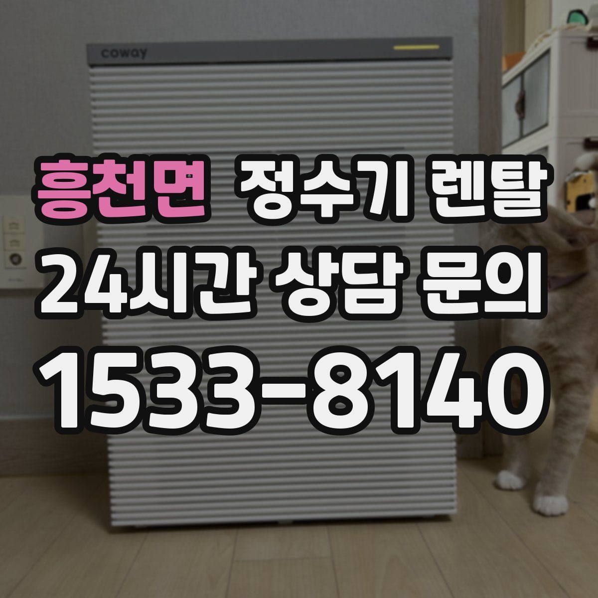 흥천면 정수기 렌탈