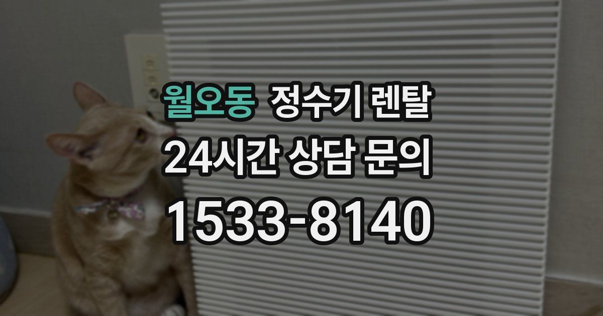 월오동 정수기 렌탈