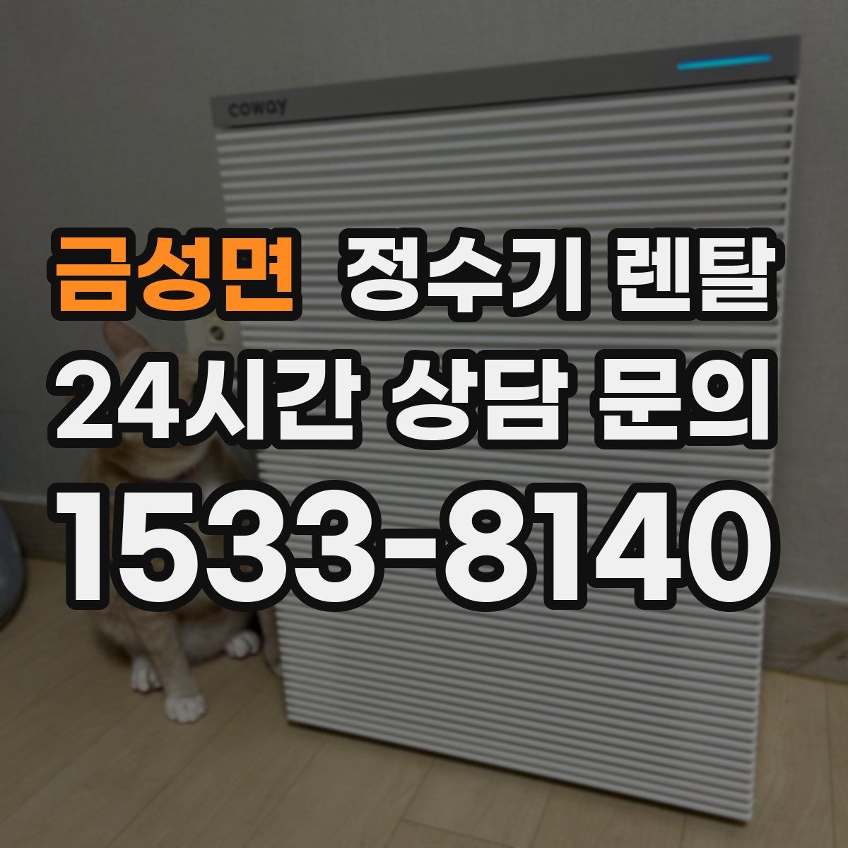금성면 정수기 렌탈