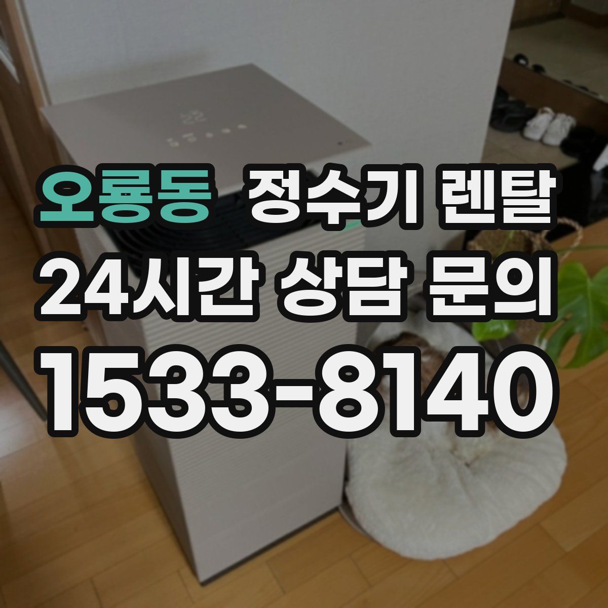 오룡동 정수기 렌탈