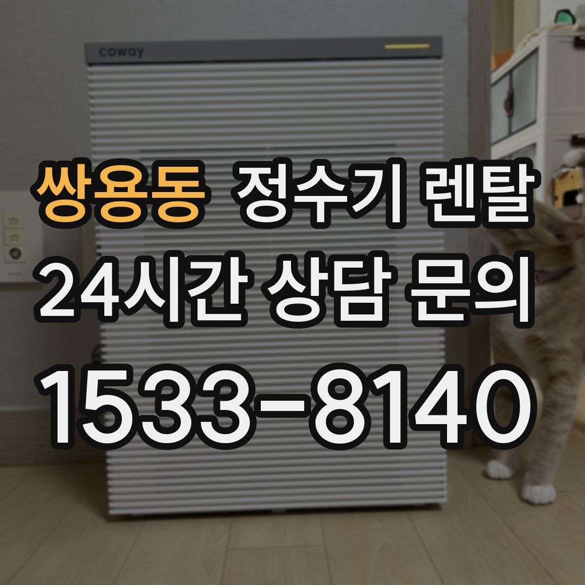 쌍용동 정수기 렌탈