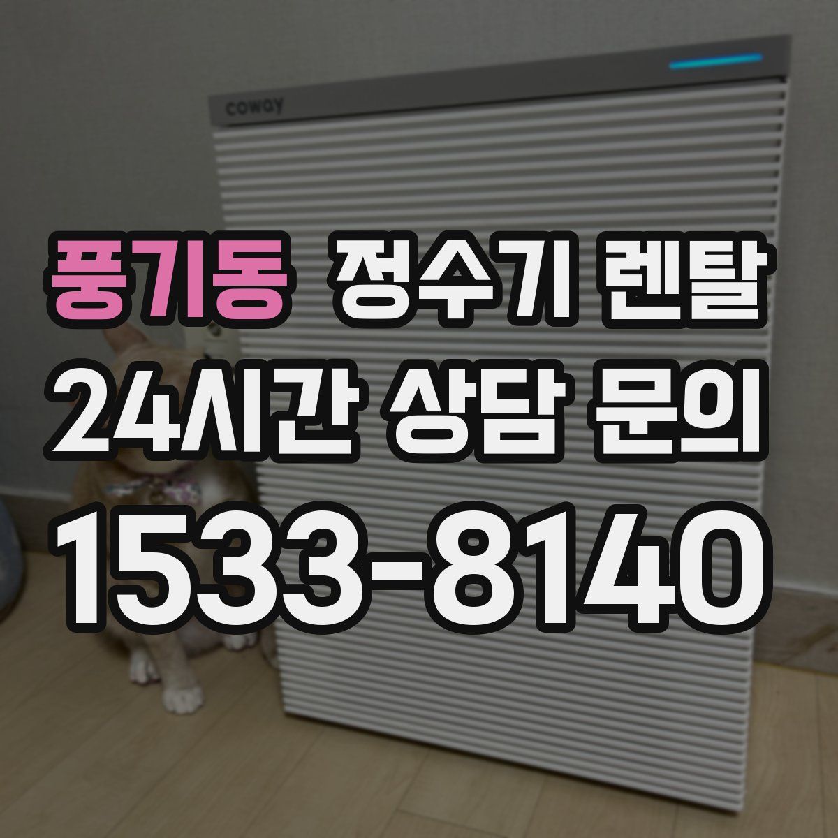 풍기동 정수기 렌탈