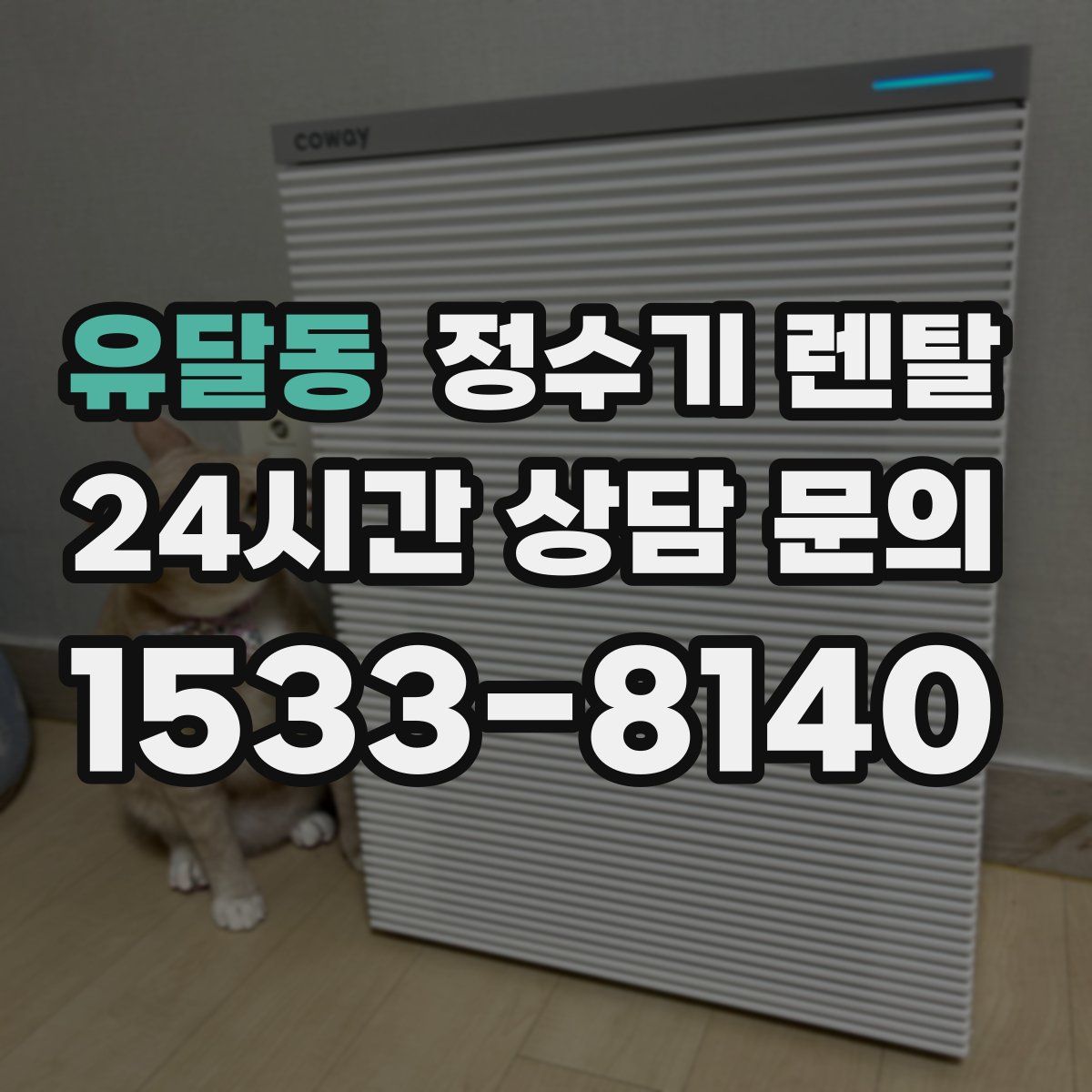 유달동 정수기 렌탈