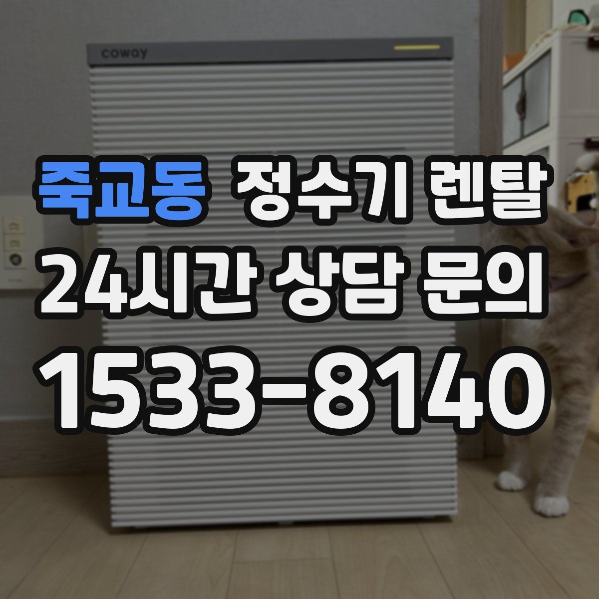 죽교동 정수기 렌탈