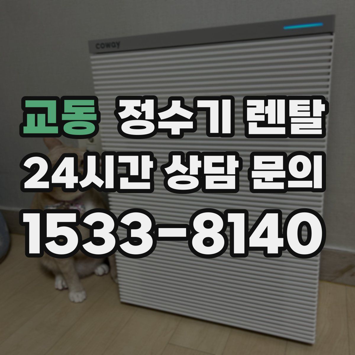 교동 정수기 렌탈