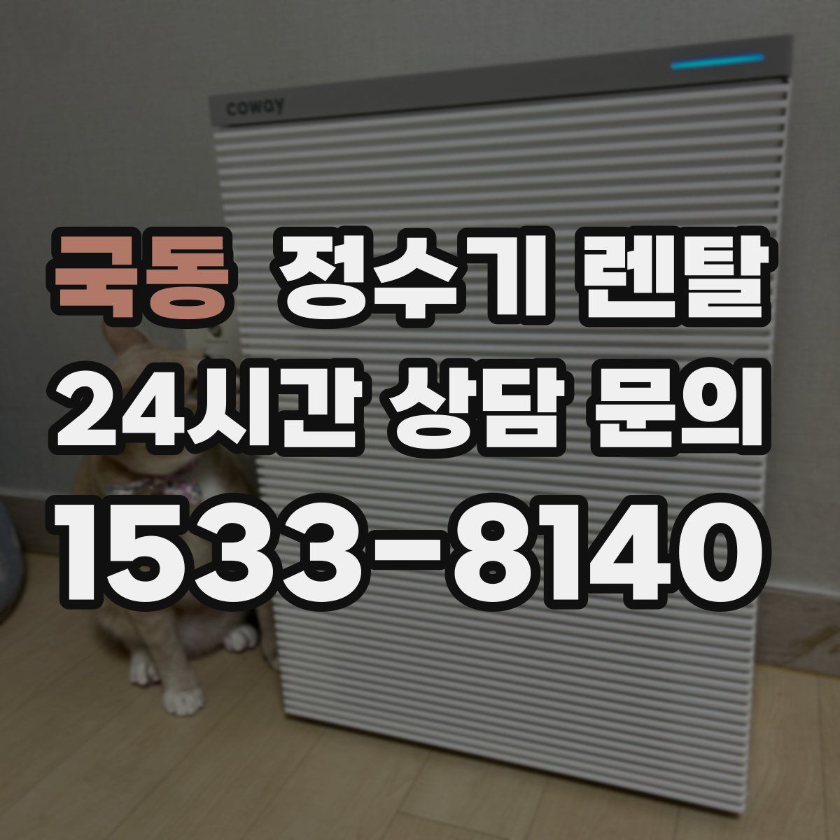 국동 정수기 렌탈