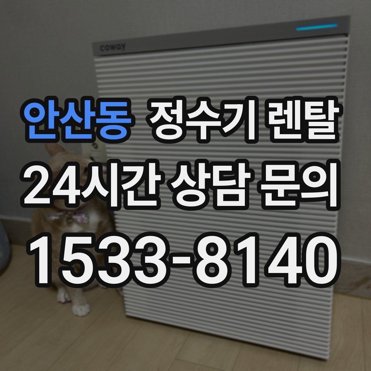 안산동 정수기 렌탈