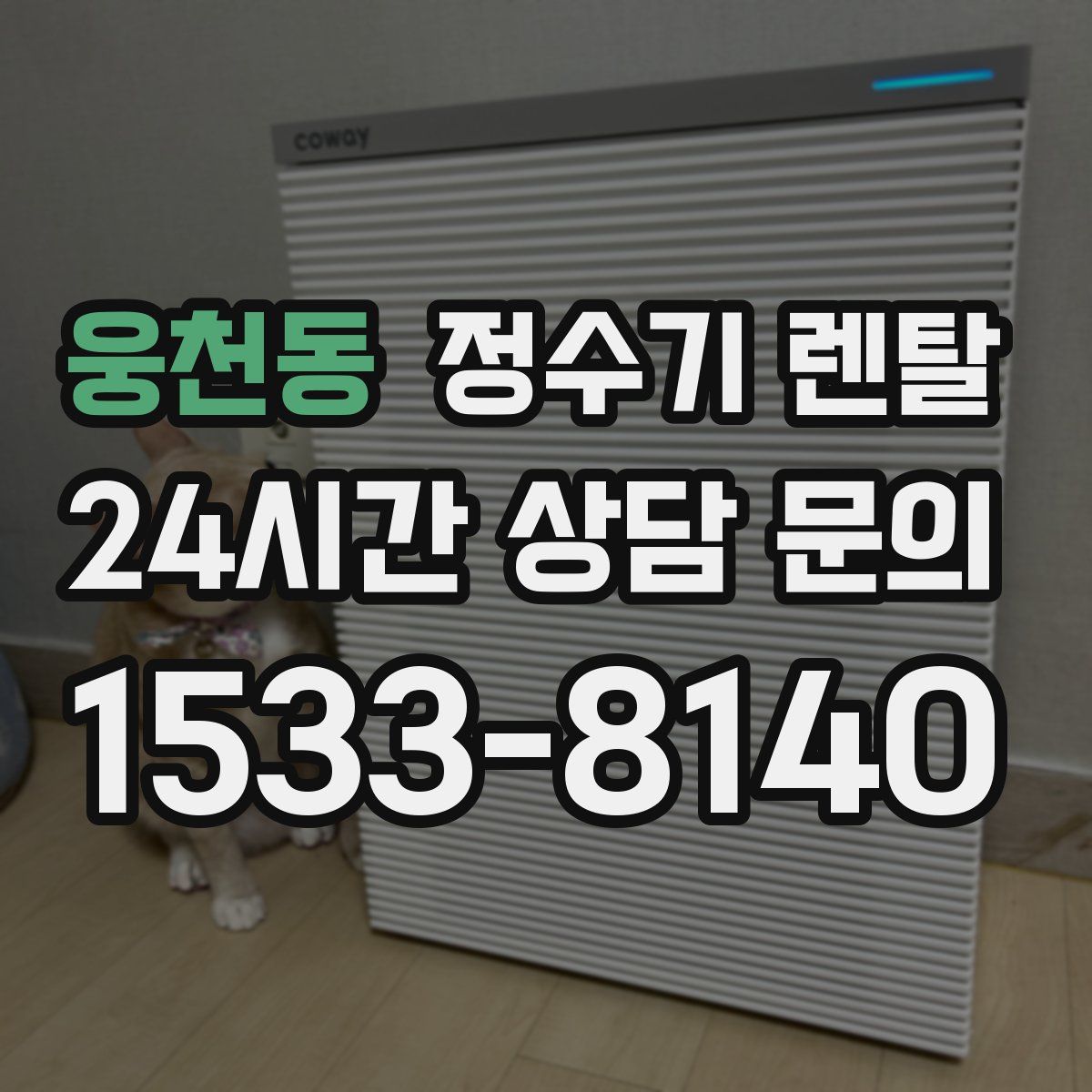 웅천동 정수기 렌탈