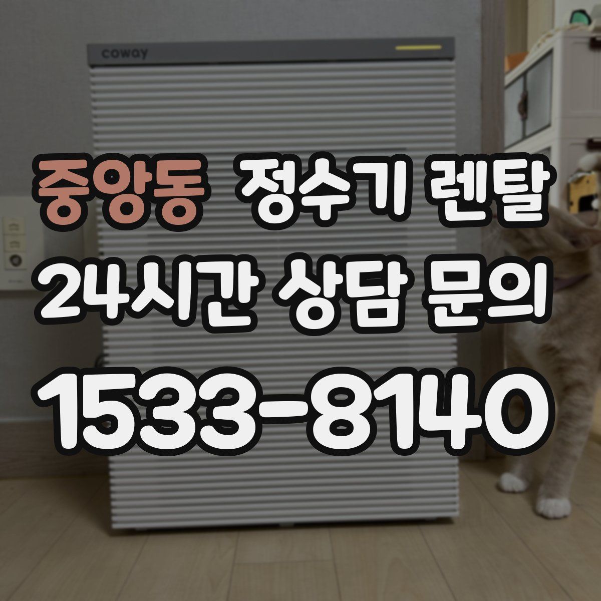 중앙동 정수기 렌탈