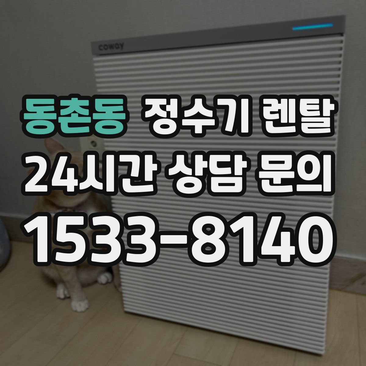 동촌동 정수기 렌탈