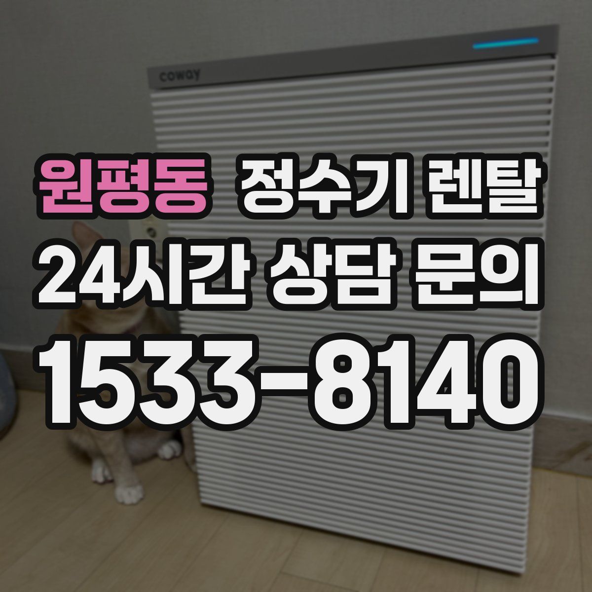 원평동 정수기 렌탈
