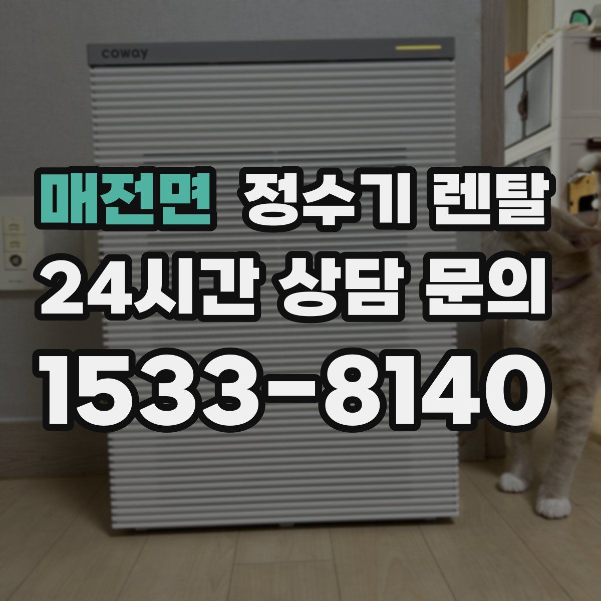 매전면 정수기 렌탈