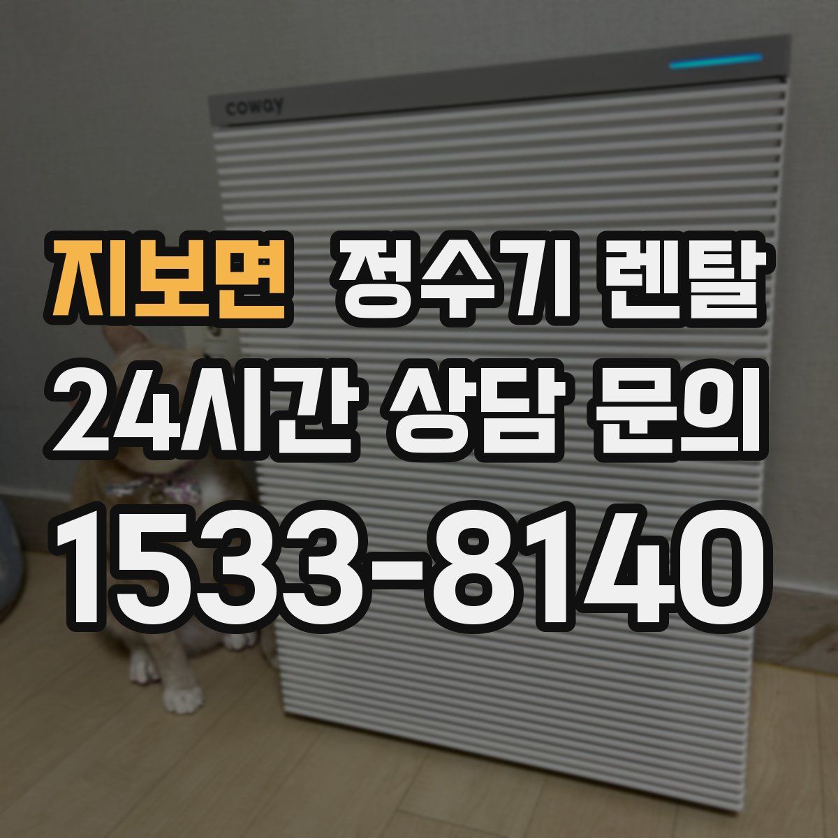 지보면 정수기 렌탈