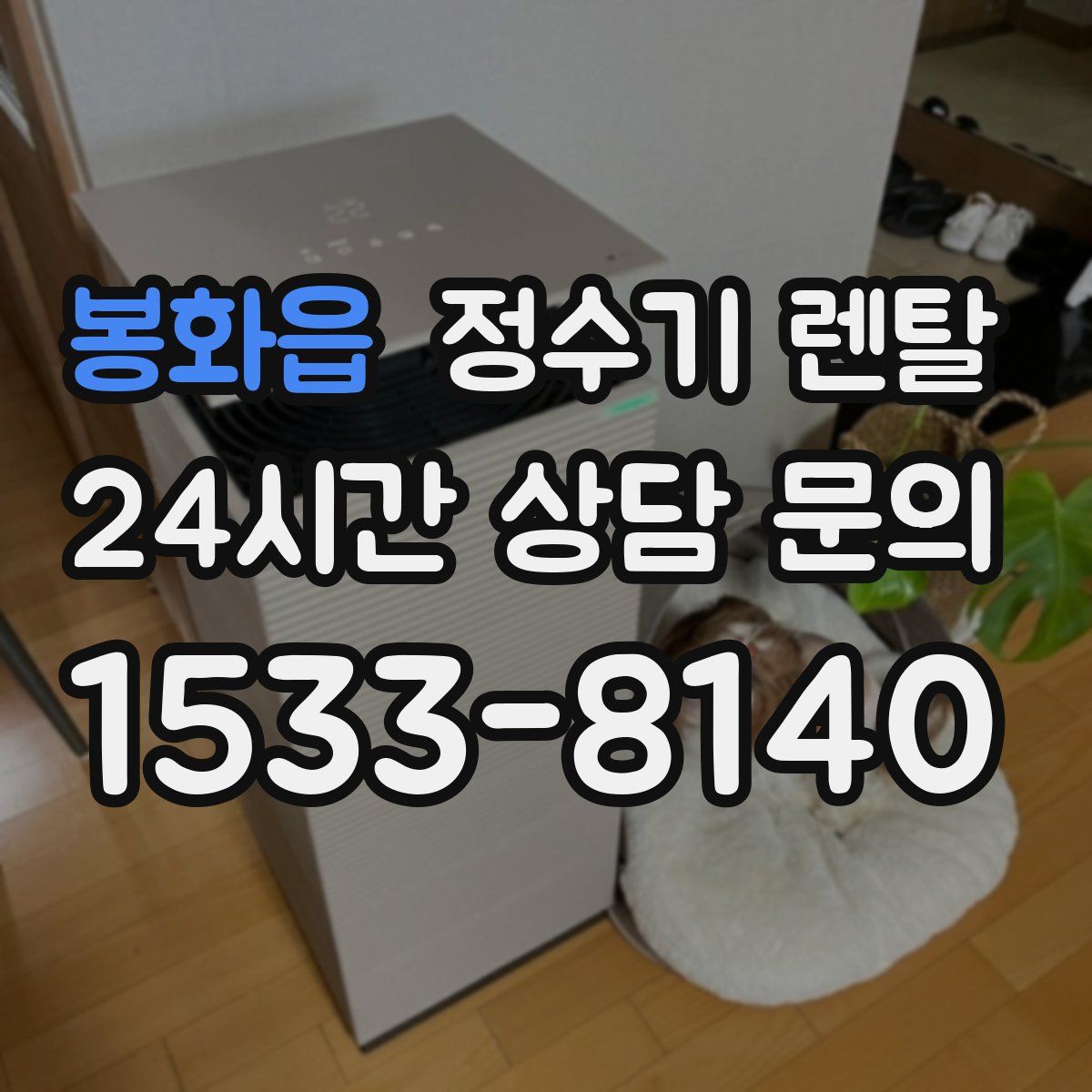 봉화읍 정수기 렌탈