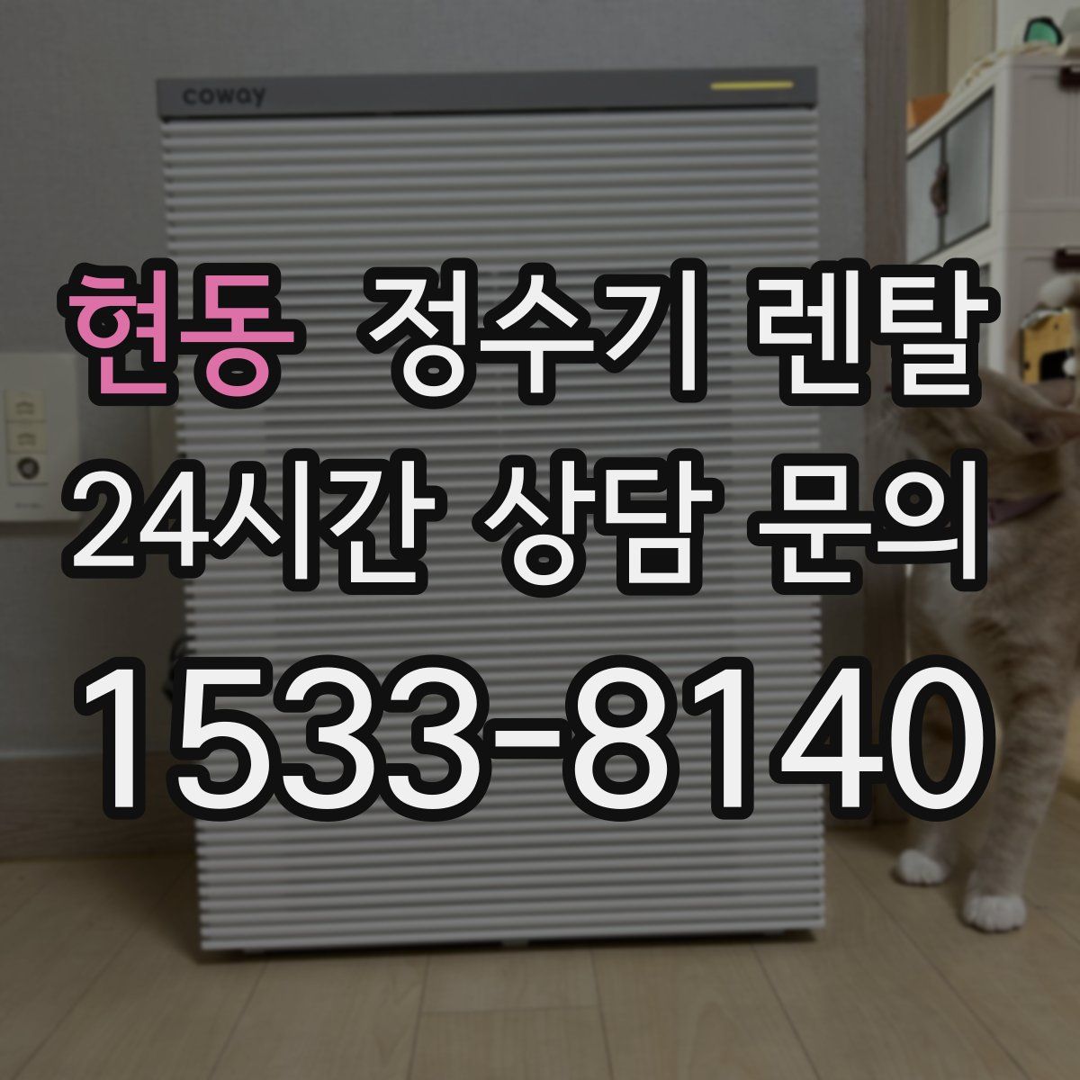 현동 정수기 렌탈