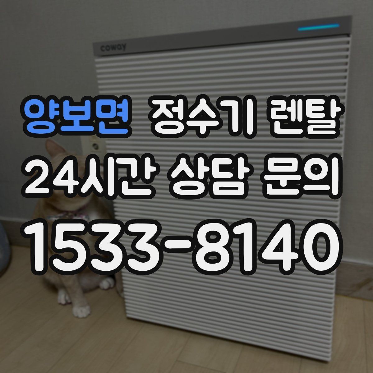 양보면 정수기 렌탈 다중 사용 환경에서 고장 줄이는 선택법