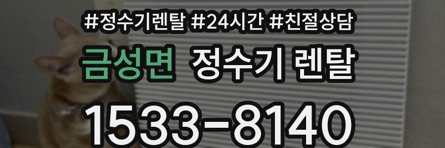 금성면 정수기 렌탈