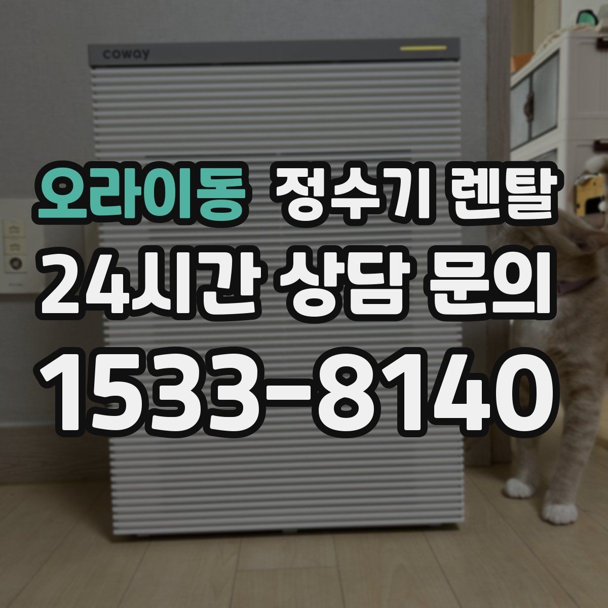 오라이동 정수기 렌탈 겨울철 냉수 기능을 덜 써도 관리가 필요한 이유