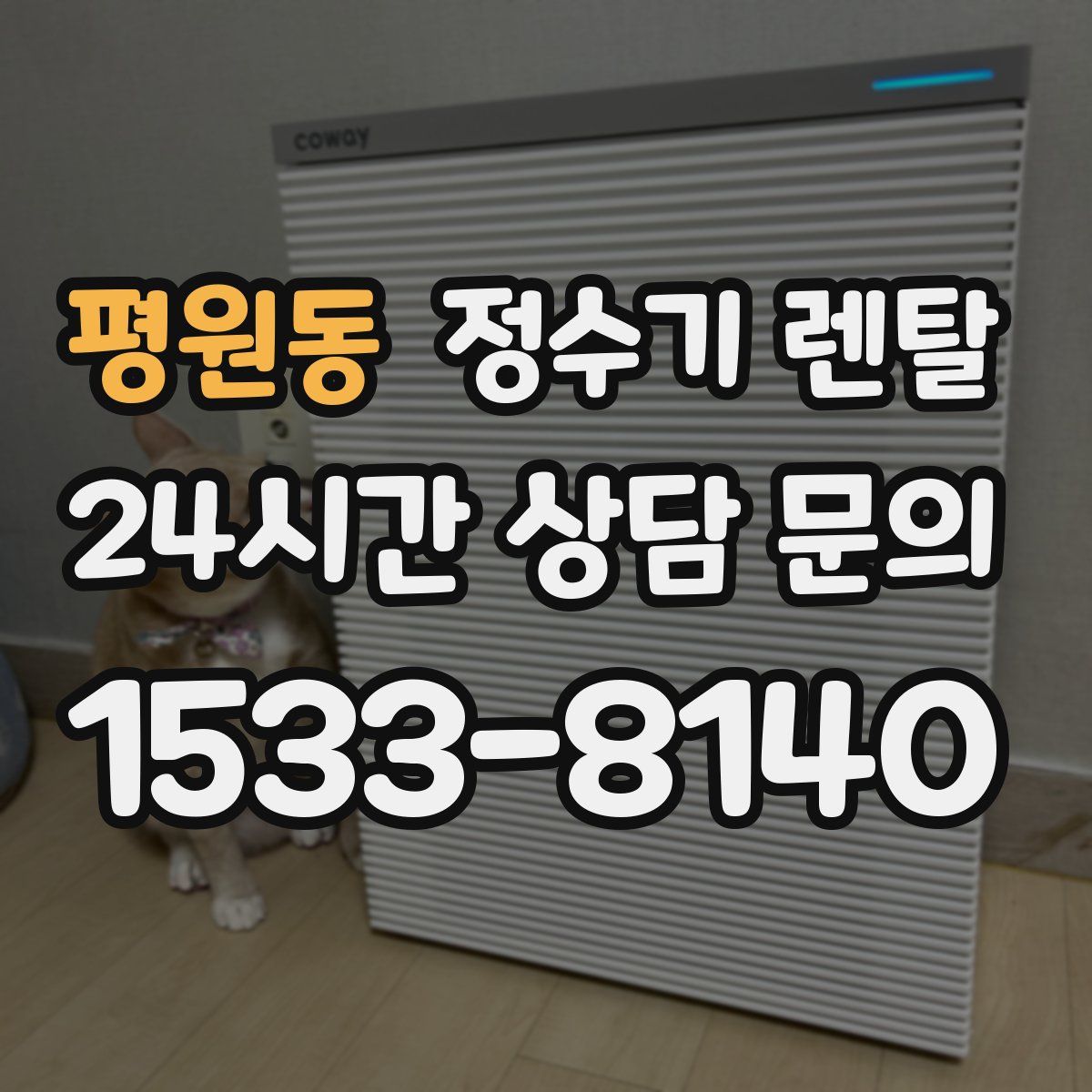 평원동 정수기 렌탈