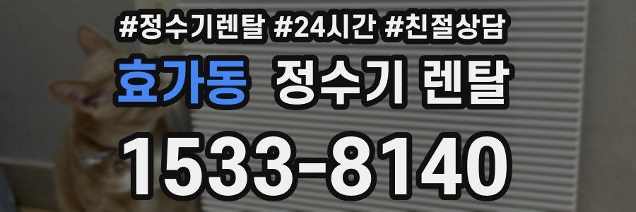 효가동 정수기 렌탈