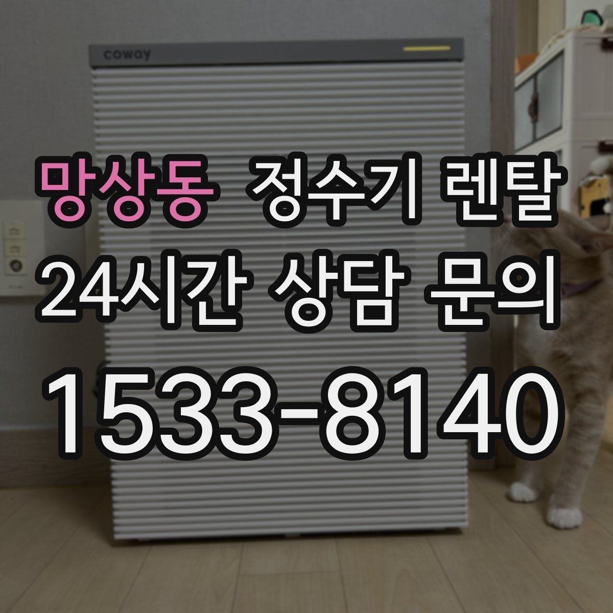 망상동 정수기 렌탈 절전 모드 설정만으로 달라지는 이유