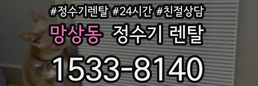 망상동 정수기 렌탈