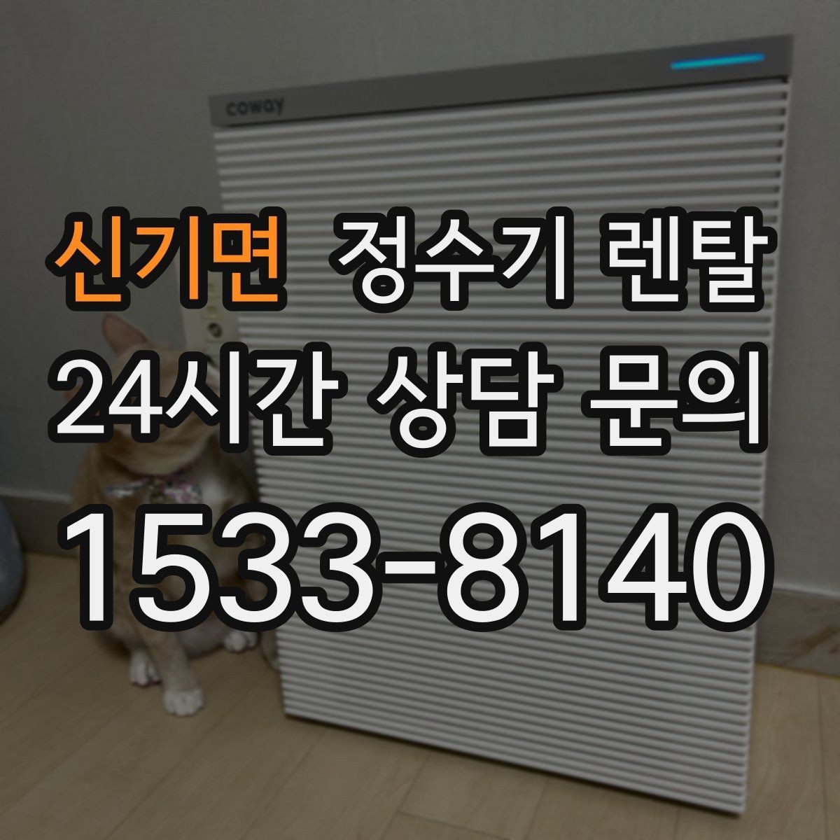 신기면 정수기 렌탈 스테인리스 소재가 인기인 이유