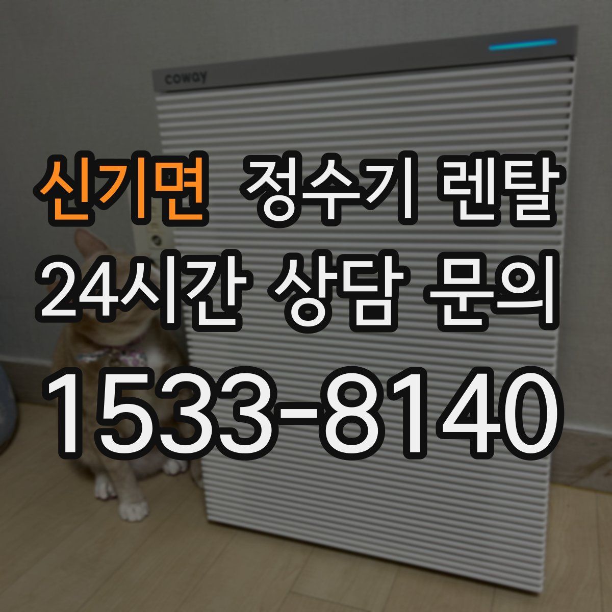 신기면 정수기 렌탈