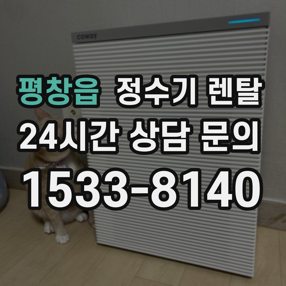 평창읍 정수기 렌탈