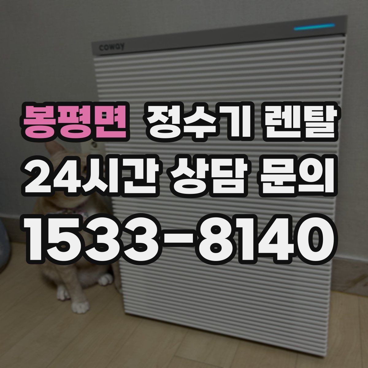 봉평면 정수기 렌탈 1인 가구에 딱 맞는 선택 기준