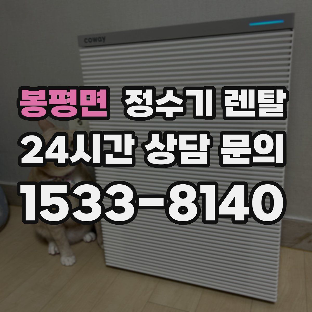 봉평면 정수기 렌탈
