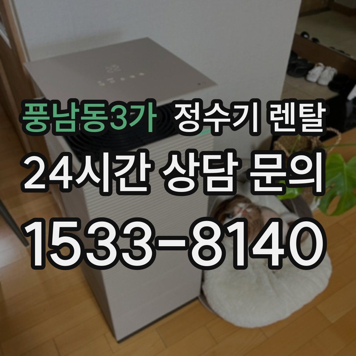 풍남동3가 정수기 렌탈 냉온정이 꼭 필요 없는 집의 특징