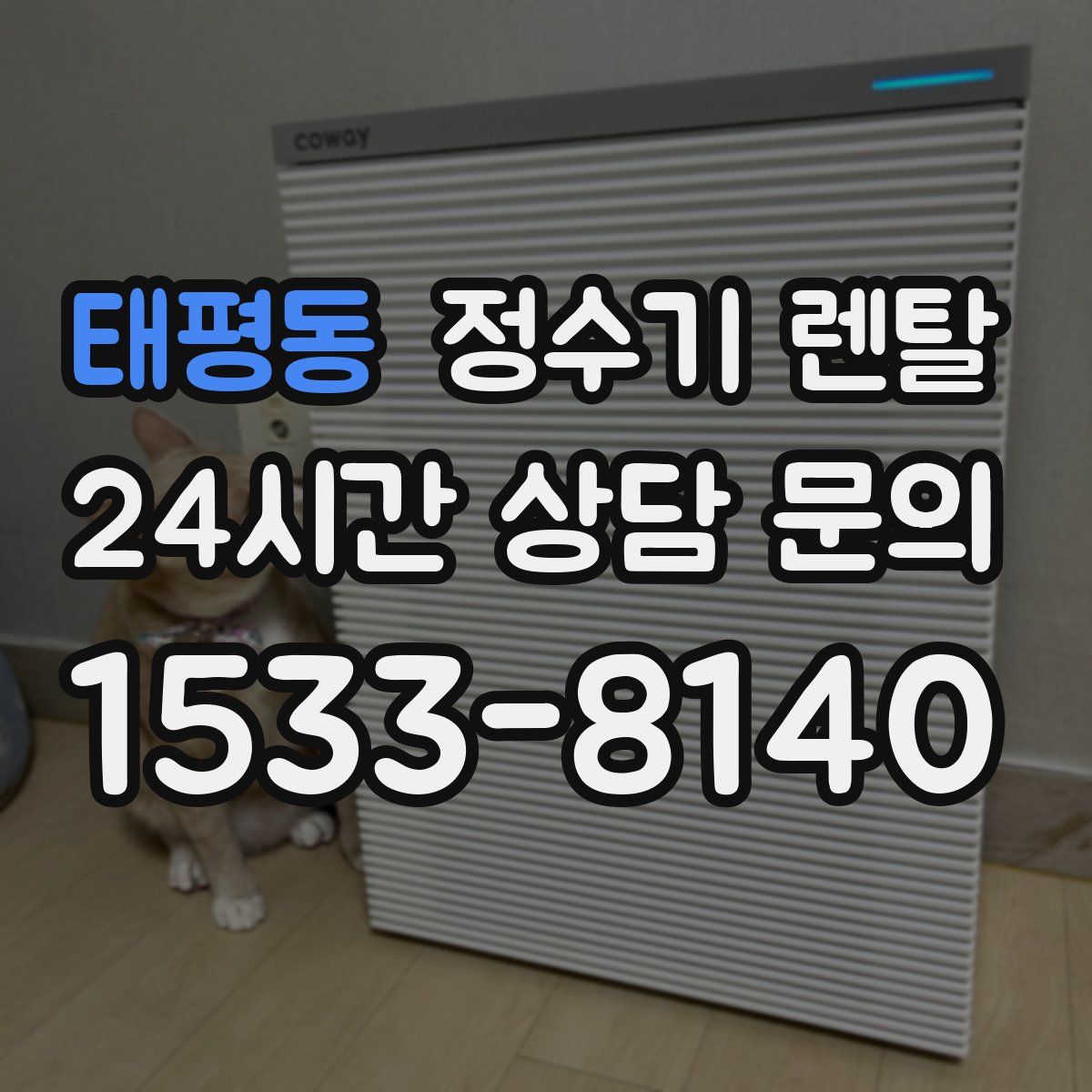 태평동 정수기 렌탈