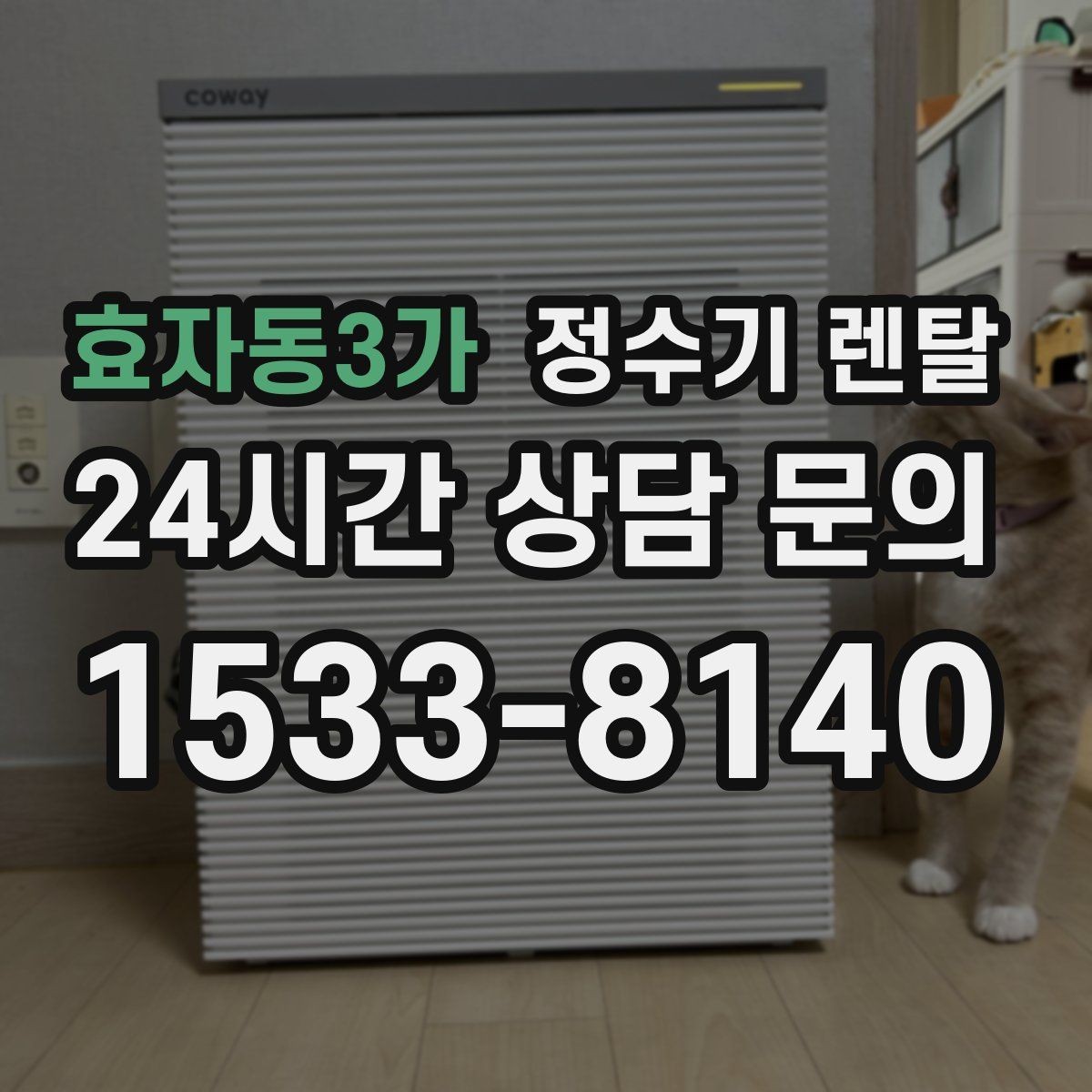 효자동3가 정수기 렌탈 정량 출수 기능이 실사용에 좋은 이유