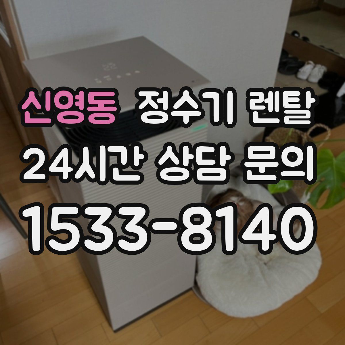 신영동 정수기 렌탈