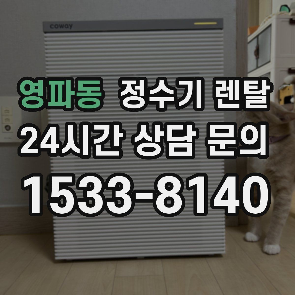 영파동 정수기 렌탈 절전 모드 설정만으로 달라지는 이유