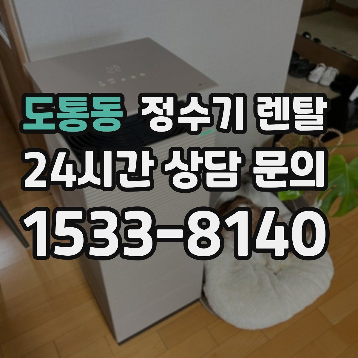 도통동 정수기 렌탈 설치 후 처음 한 달 관리가 중요한 이유