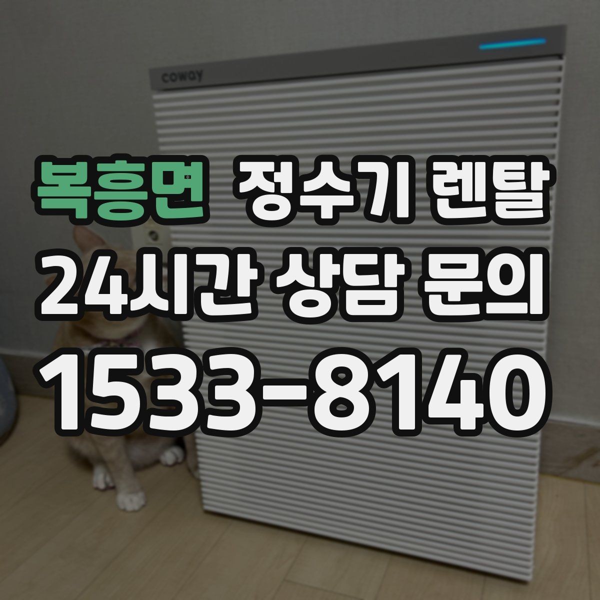 복흥면 정수기 렌탈 작은 원룸 주방에 설치할 때 흔한 실수