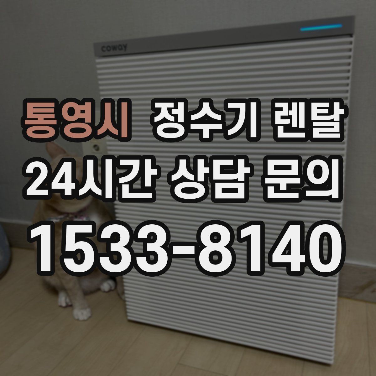 통영시 정수기 렌탈 설치부터 관리까지 깔끔하게 정리했습니다