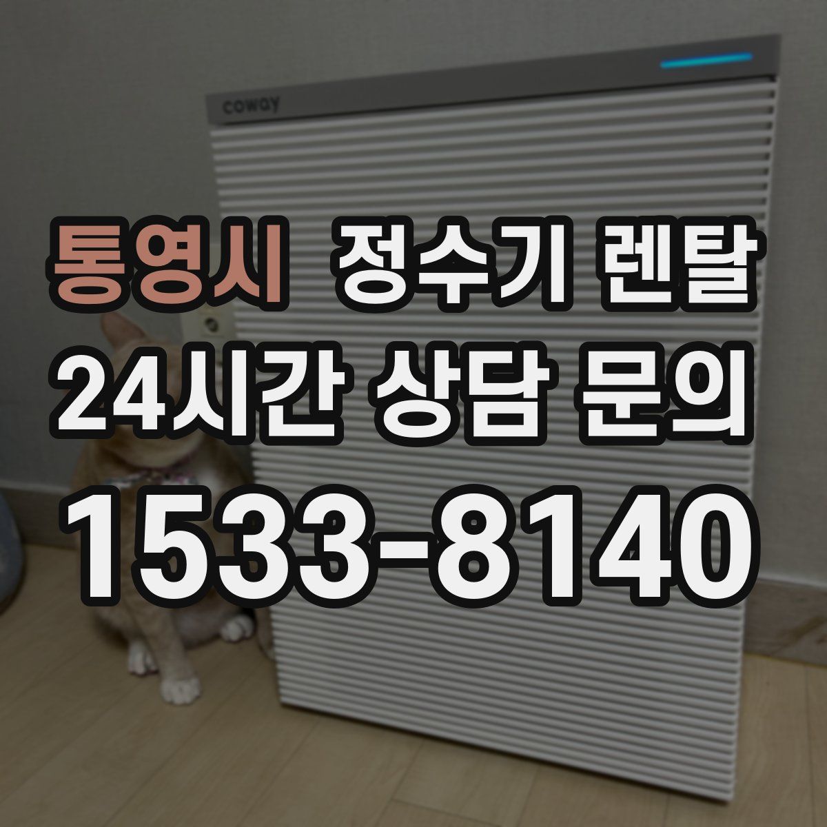 통영시 정수기 렌탈