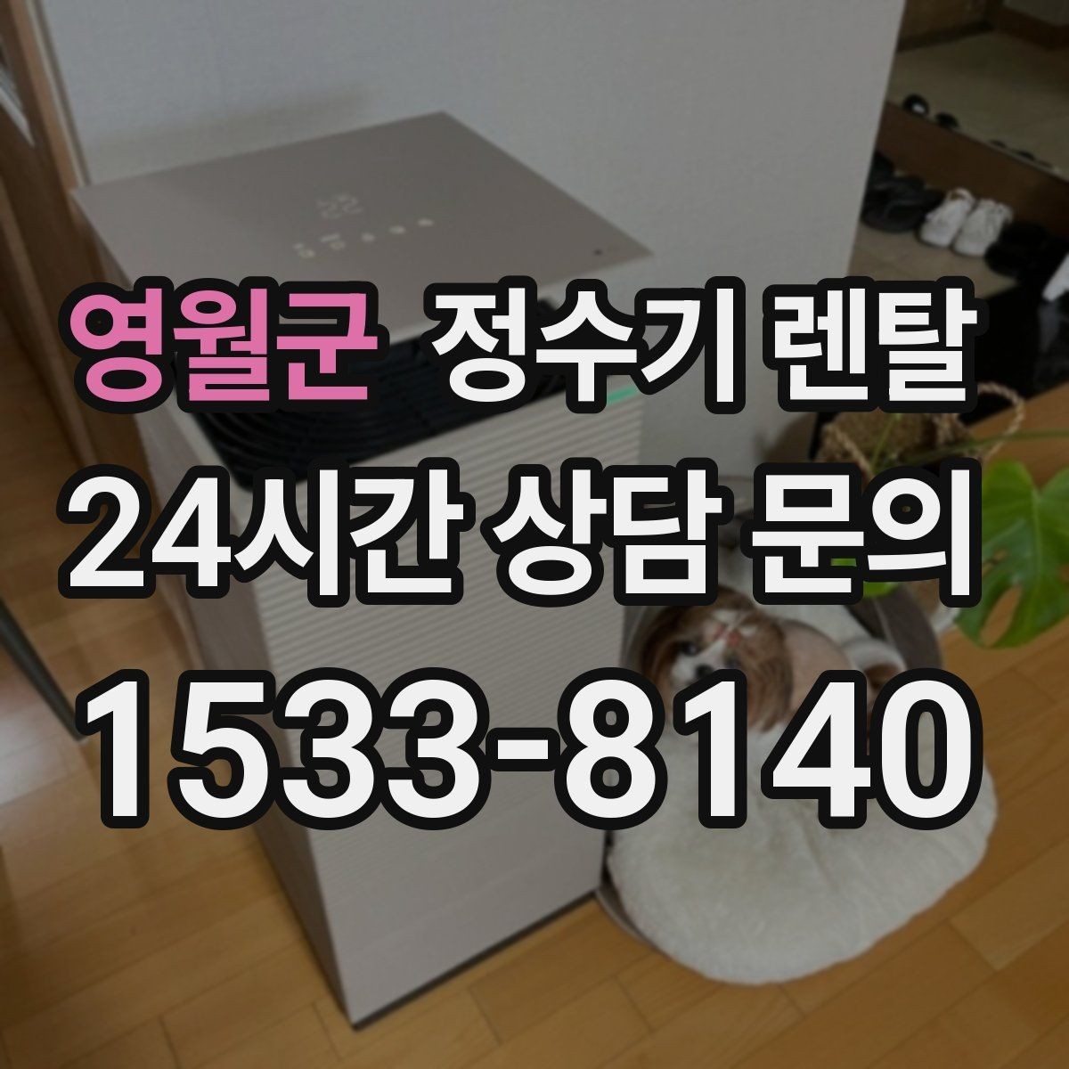 영월군 정수기 렌탈 이전 설치 가능 범위를 미리 확인해야 하는 이유