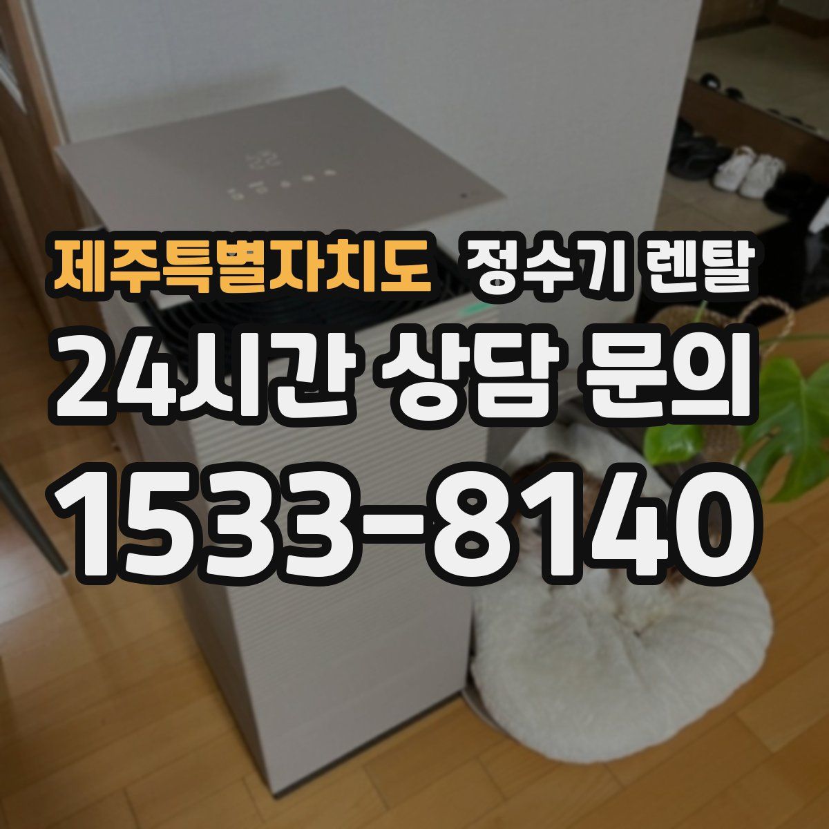 제주특별자치도 정수기 렌탈