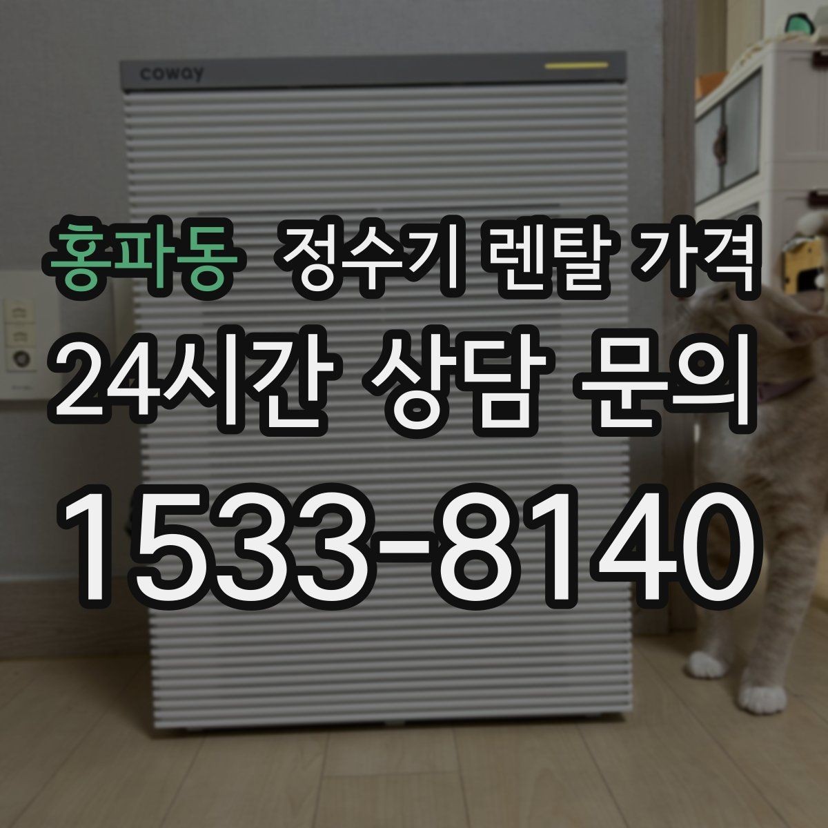 홍파동 정수기 렌탈 가격 가장 현실적인 선택 기준