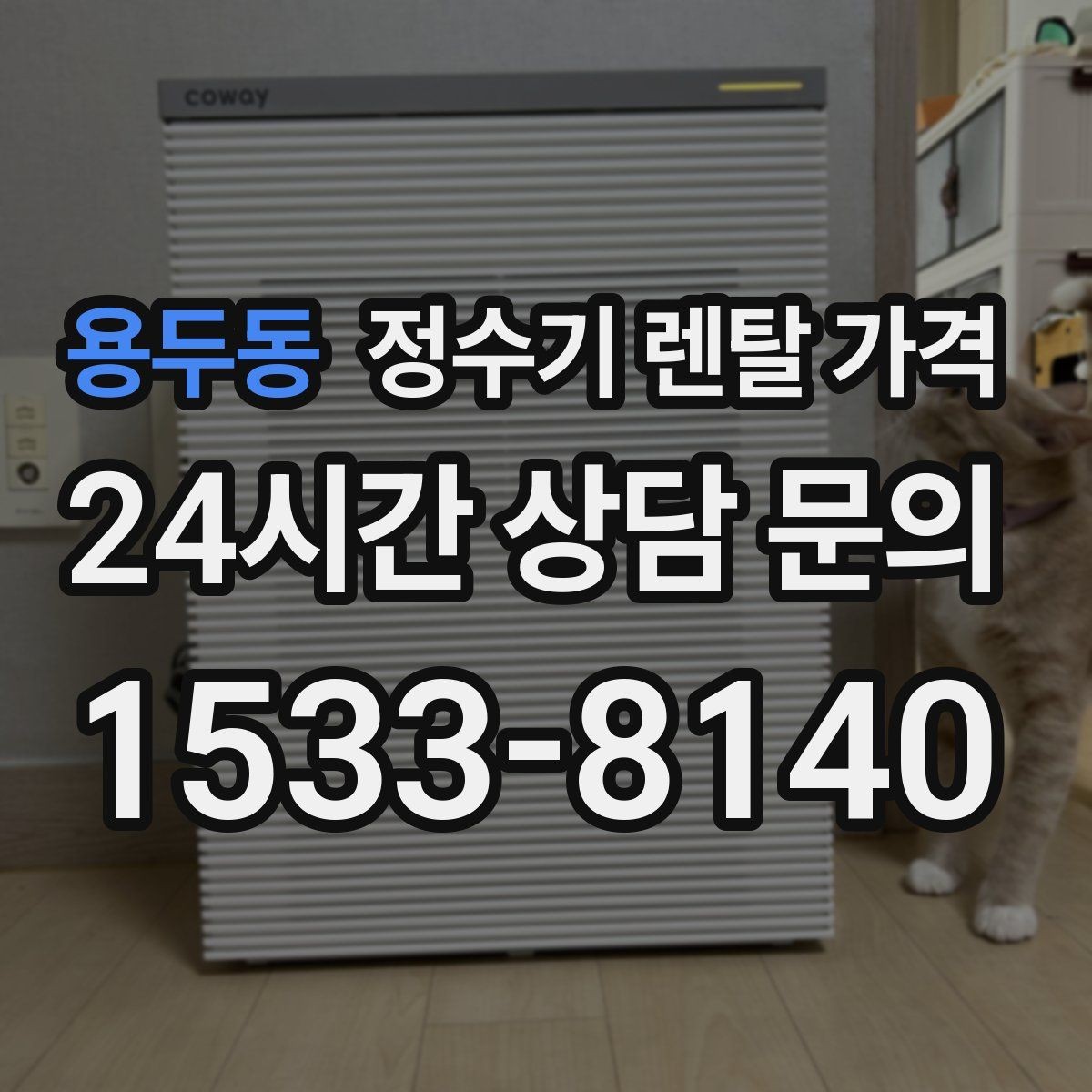 용두동 정수기 렌탈 가격 계약 전 확인하면 좋은 질문들