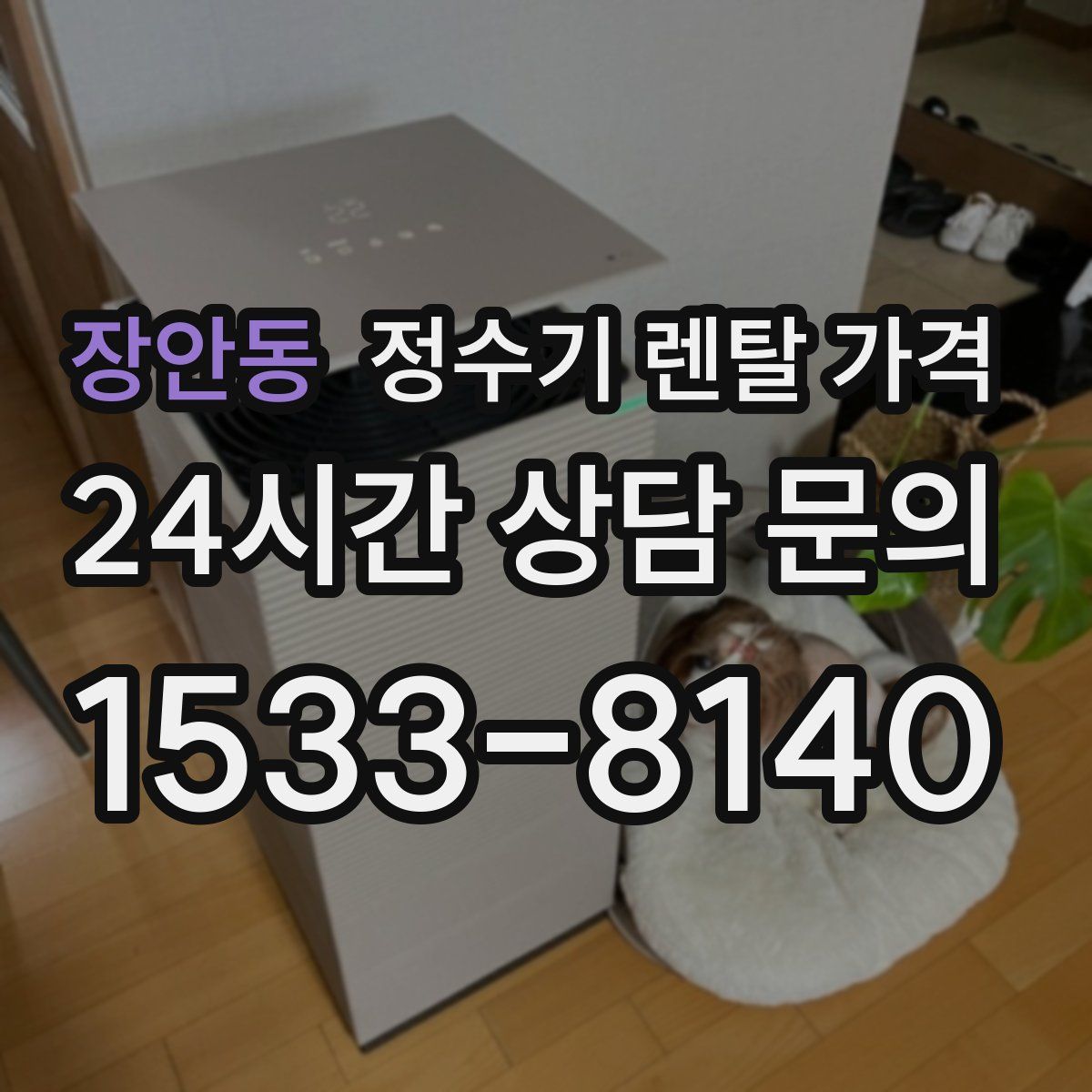 장안동 정수기 렌탈 가격