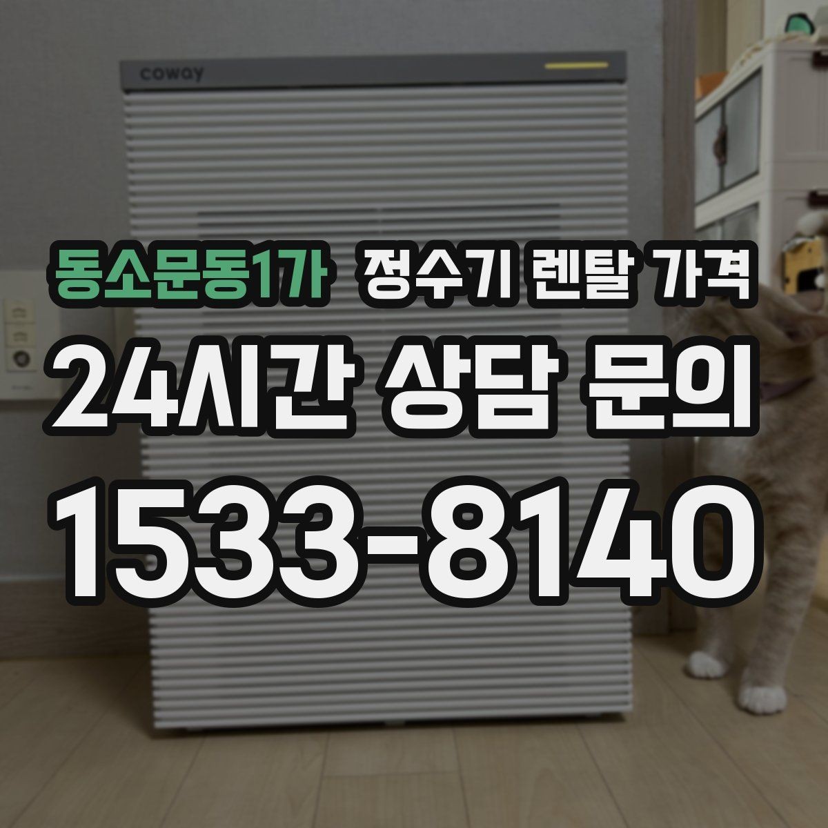 동소문동1가 정수기 렌탈 가격 얼음 기능이 있는 모델의 특징