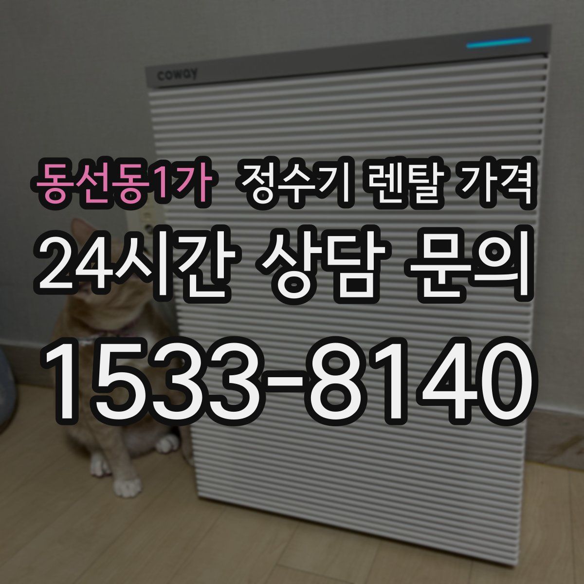 동선동1가 정수기 렌탈 가격