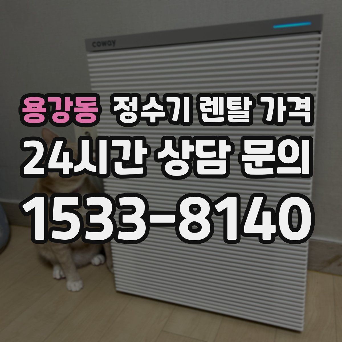 용강동 정수기 렌탈 가격 이벤트가 많을 때 비교하는 방법