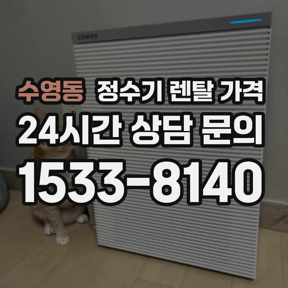 수영동 정수기 렌탈 가격